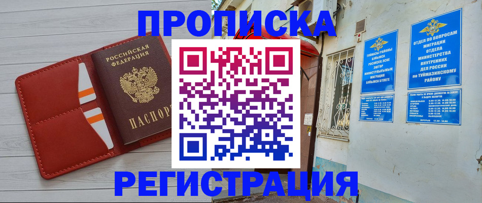 прописка 2025 в Сольцах